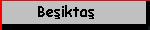 Besiktasbutton.jpg (1761 bytes)