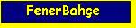 fenerBut.jpg (2709 bytes)